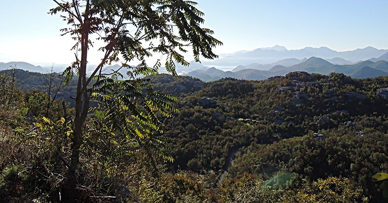 The Road to MontenegroS